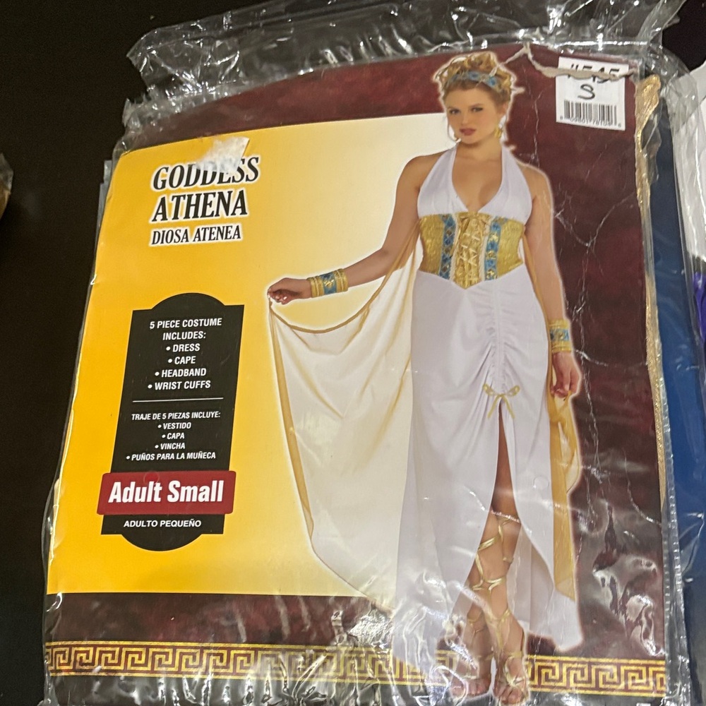 Goddess Athena Costume